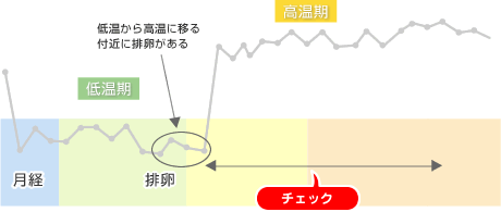 基礎体温表